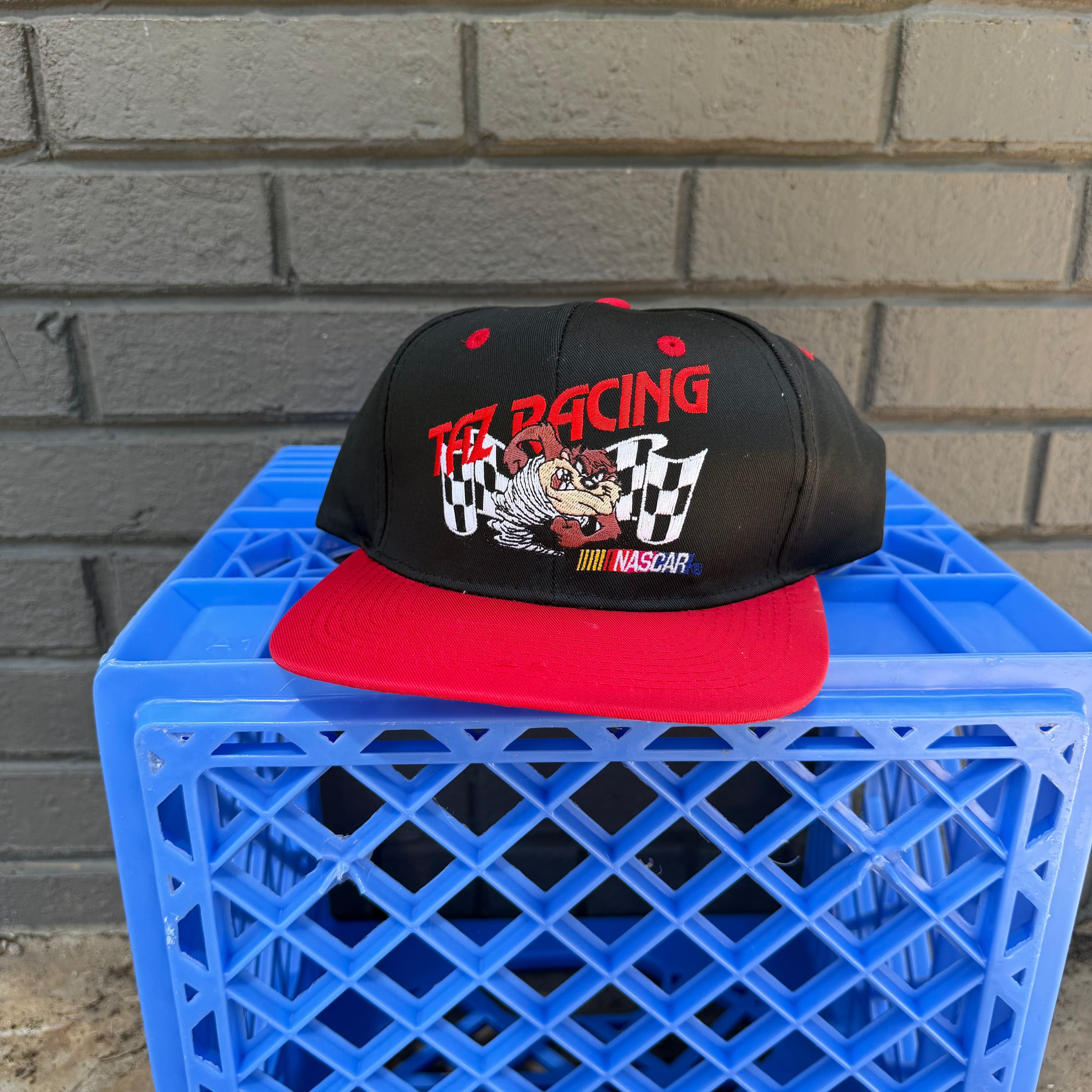 DEADSTOCK 90s Taz Racing NASCAR Two-Tone Snapback