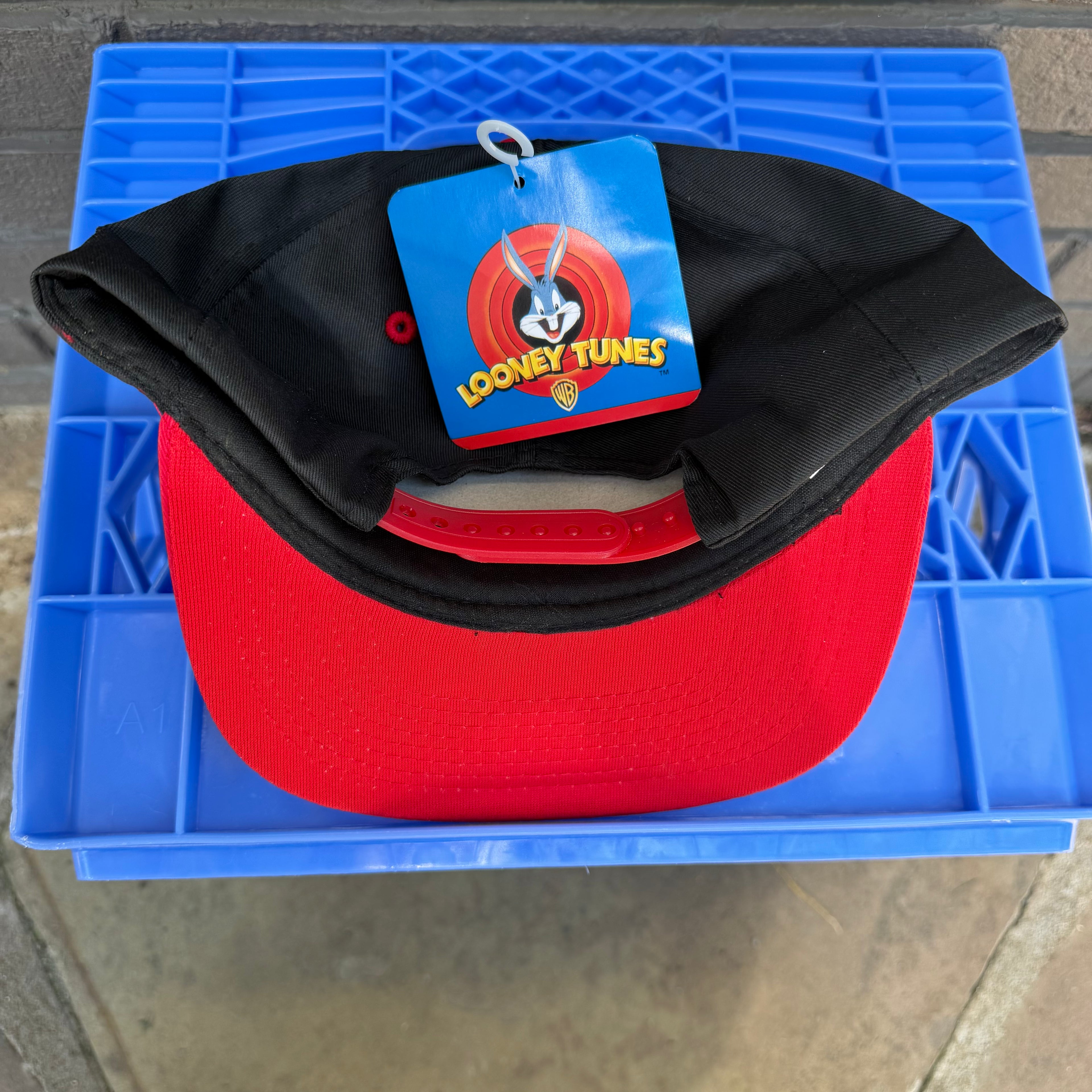 DEADSTOCK 90s Taz Racing NASCAR Two-Tone Snapback