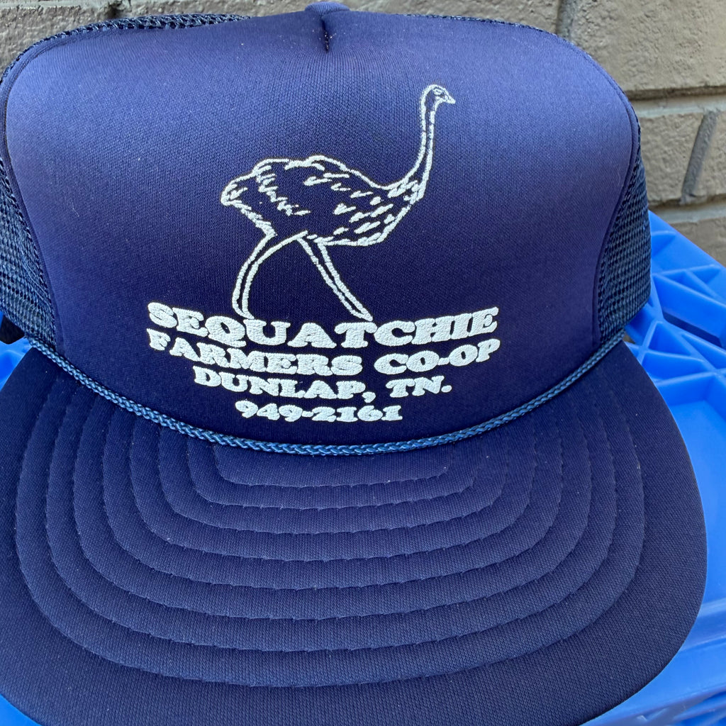 DEADSTOCK 80s/90s Dunlap, TN Co-Op Snapback
