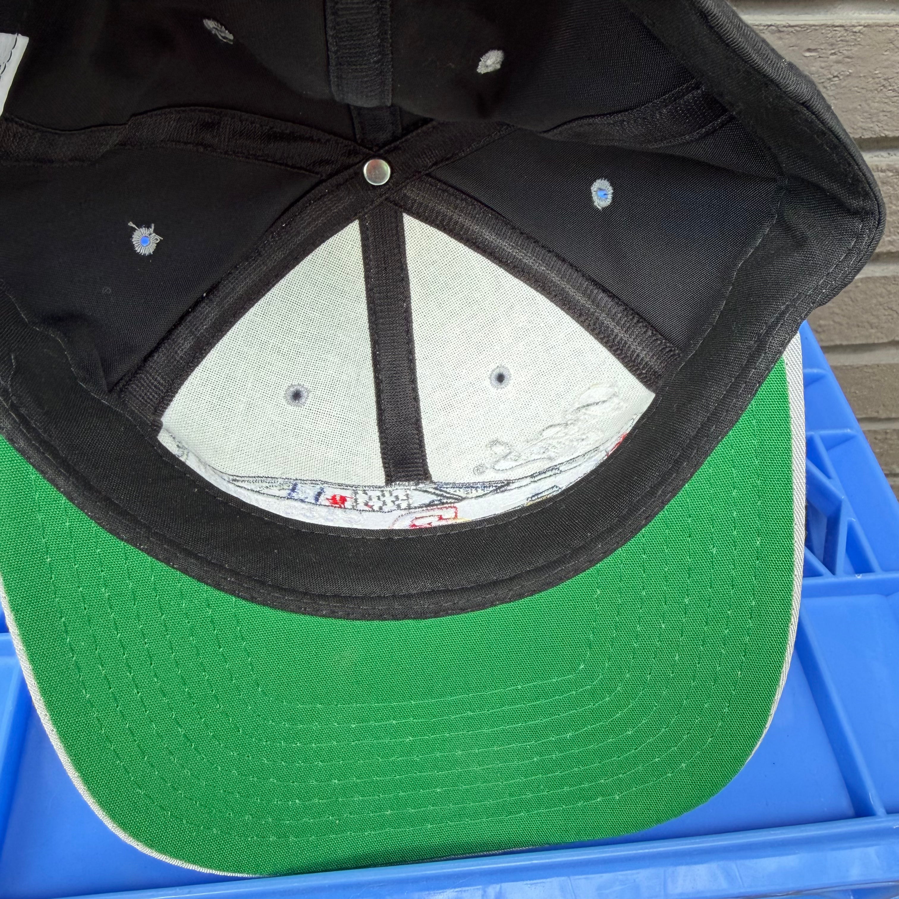 DEADSTOCK 90s Two-Tone Dale Earnhardt Snapback