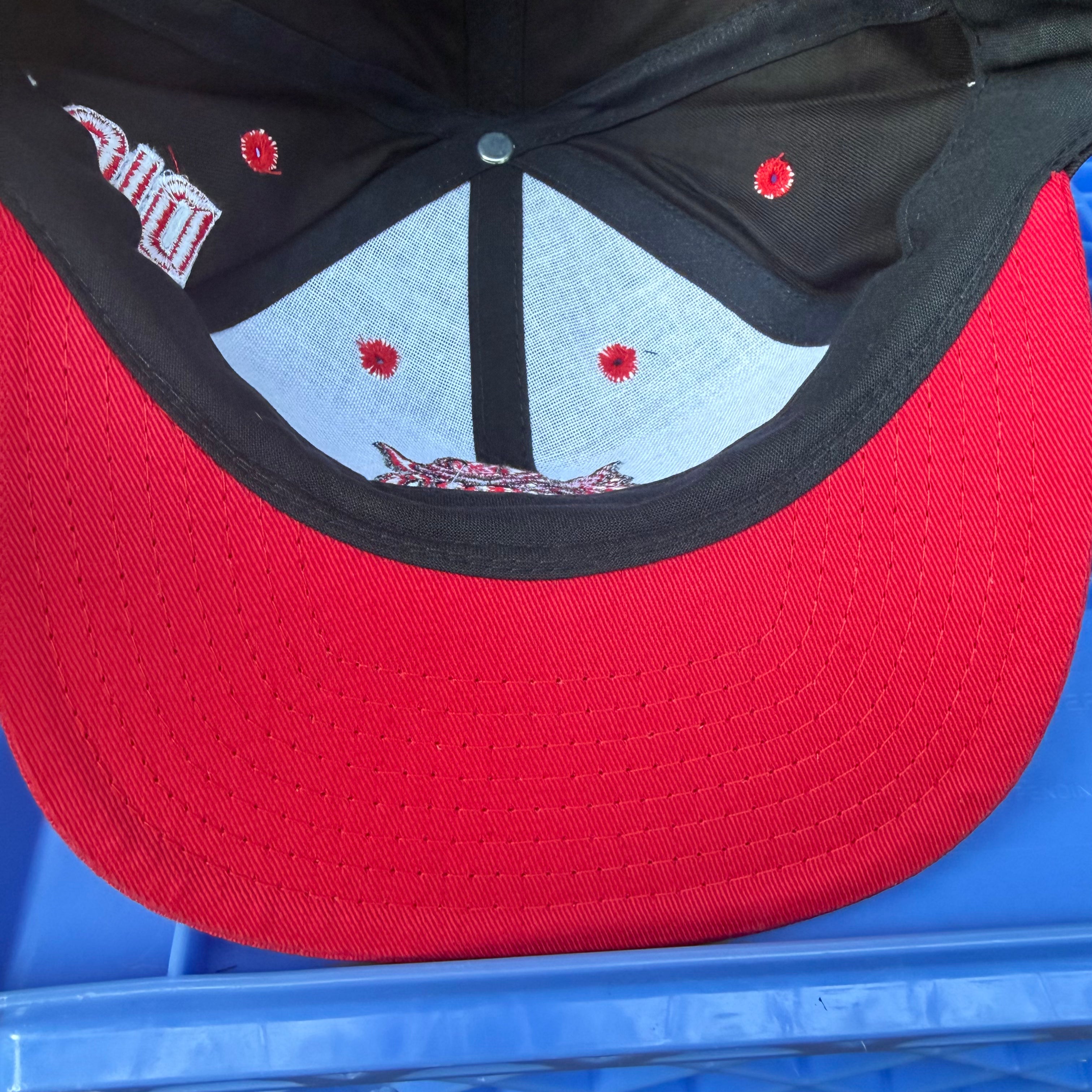 DEADSTOCK 90s Razor-Back Tools Two-Tone Snapback