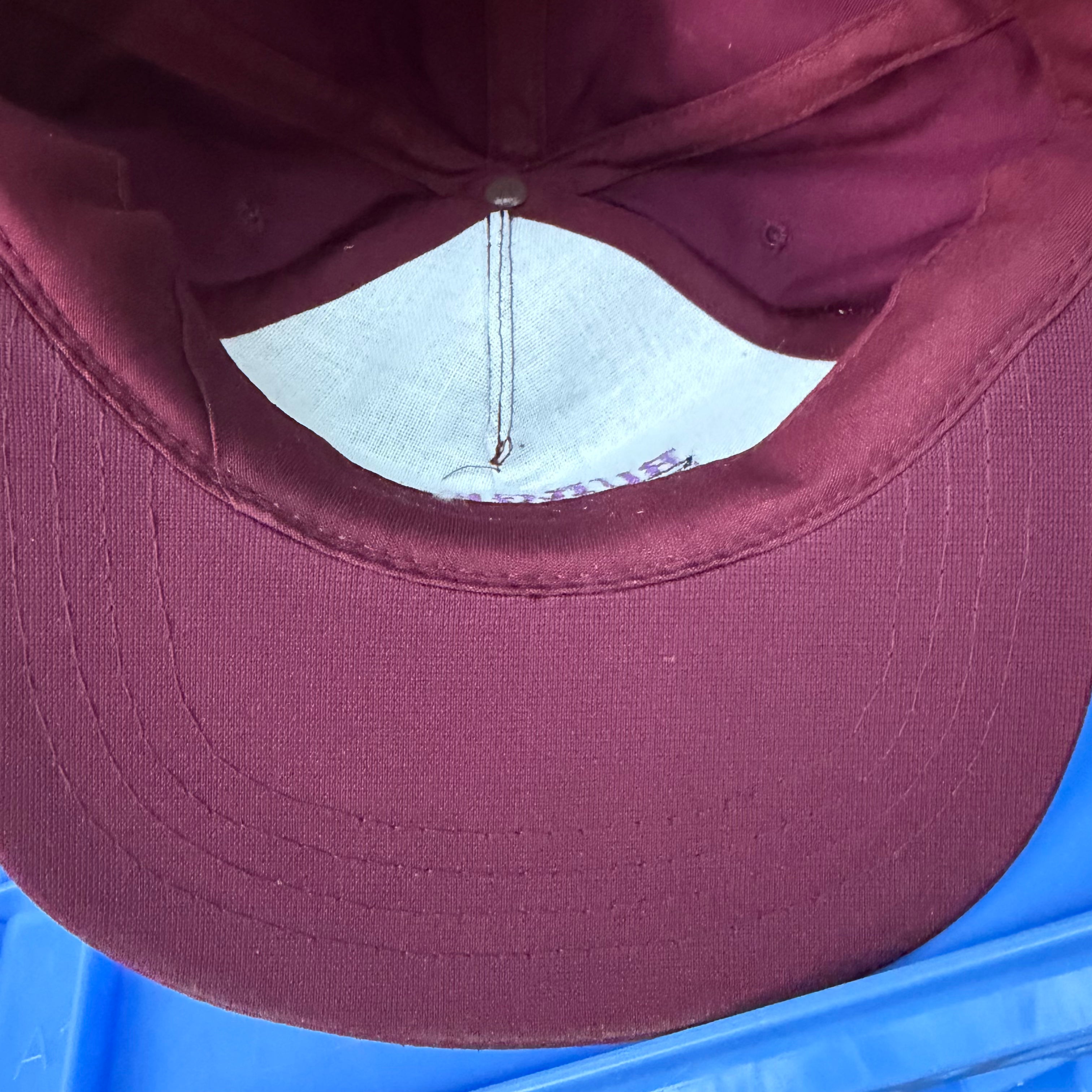 DEADSTOCK 80s Burgess Trucking Longhorn Strapback