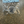 Load image into Gallery viewer, Small Vandy Star Buttons - 1.5&quot;
