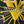 Load image into Gallery viewer, Thrashed 90s Vanderbilt Starter “The Right Hat” SnapBack
